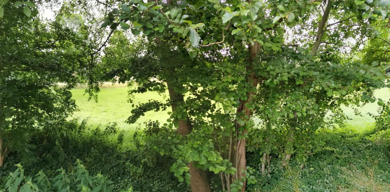 Gemuetliches Ferienhaus "An Der Schilde" In Renzow Kültér fotó