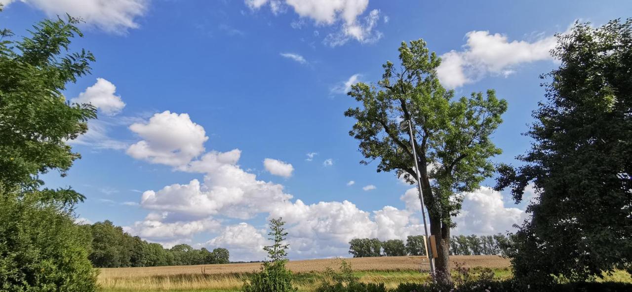 Gemuetliches Ferienhaus "An Der Schilde" In Renzow Kültér fotó