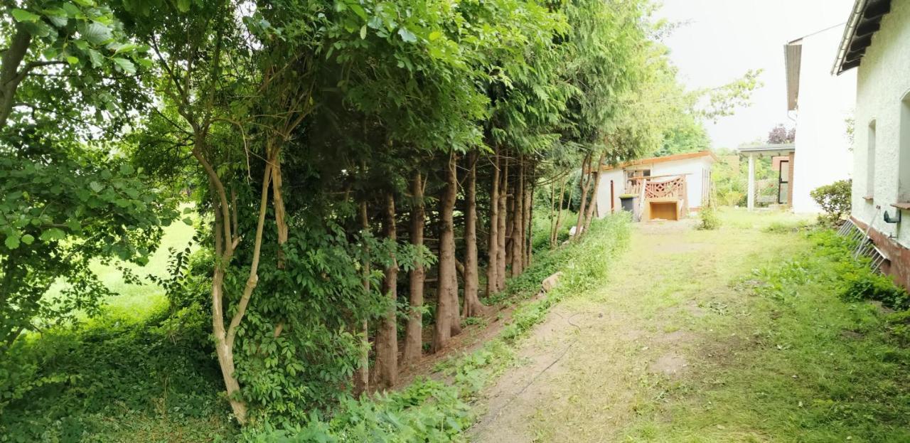 Gemuetliches Ferienhaus "An Der Schilde" In Renzow Kültér fotó